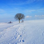 Winterlandschaft