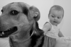 nicht ungefährlich: Hund & Baby ((Bild: Giada, Pixabay)