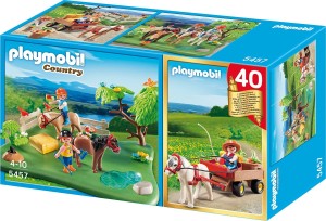 Ponykoppel mit Ponywagen